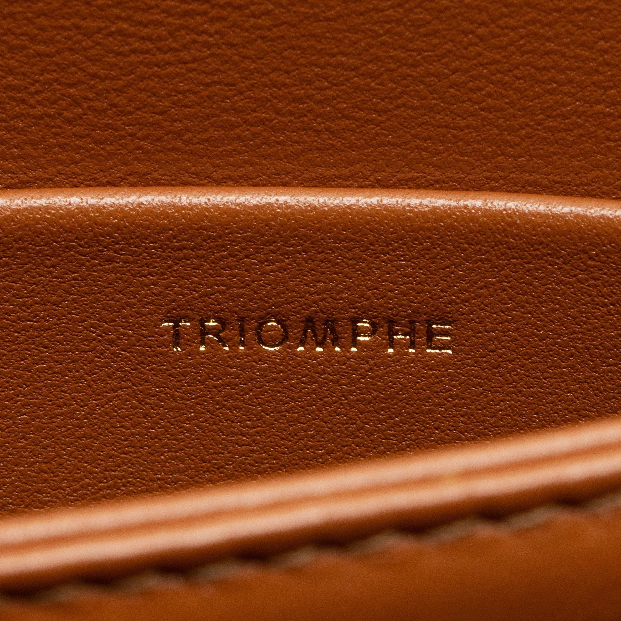 Celine Textile Calfskin Triomphe Teen Shoulder Bag