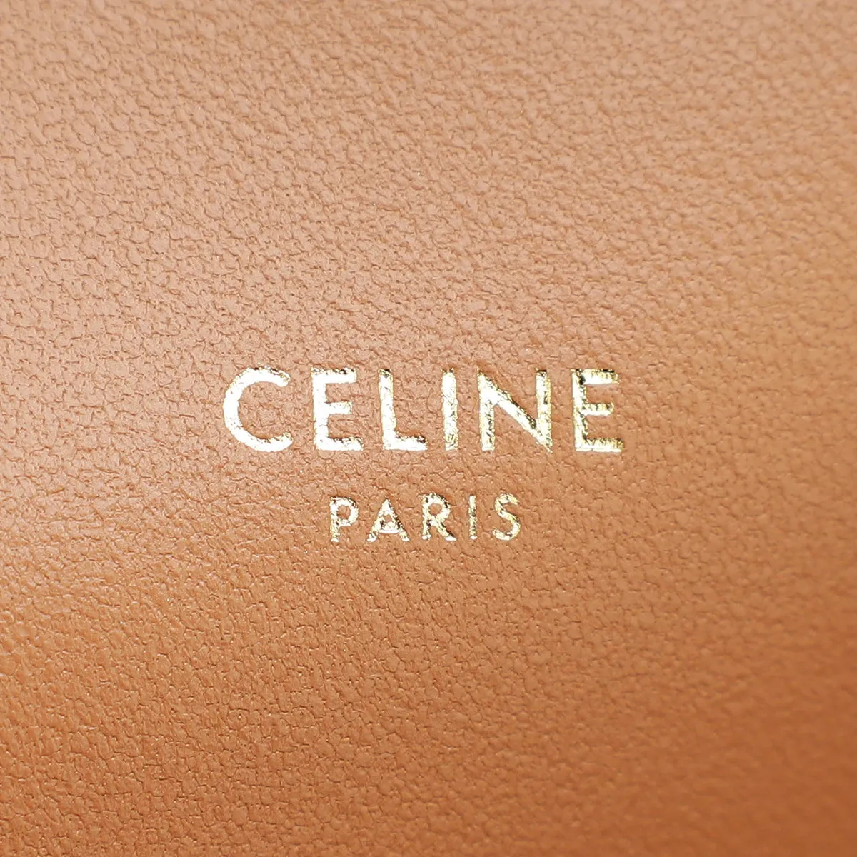 Celine Tricolor Teen Triomphe Flap Shoulder Bag